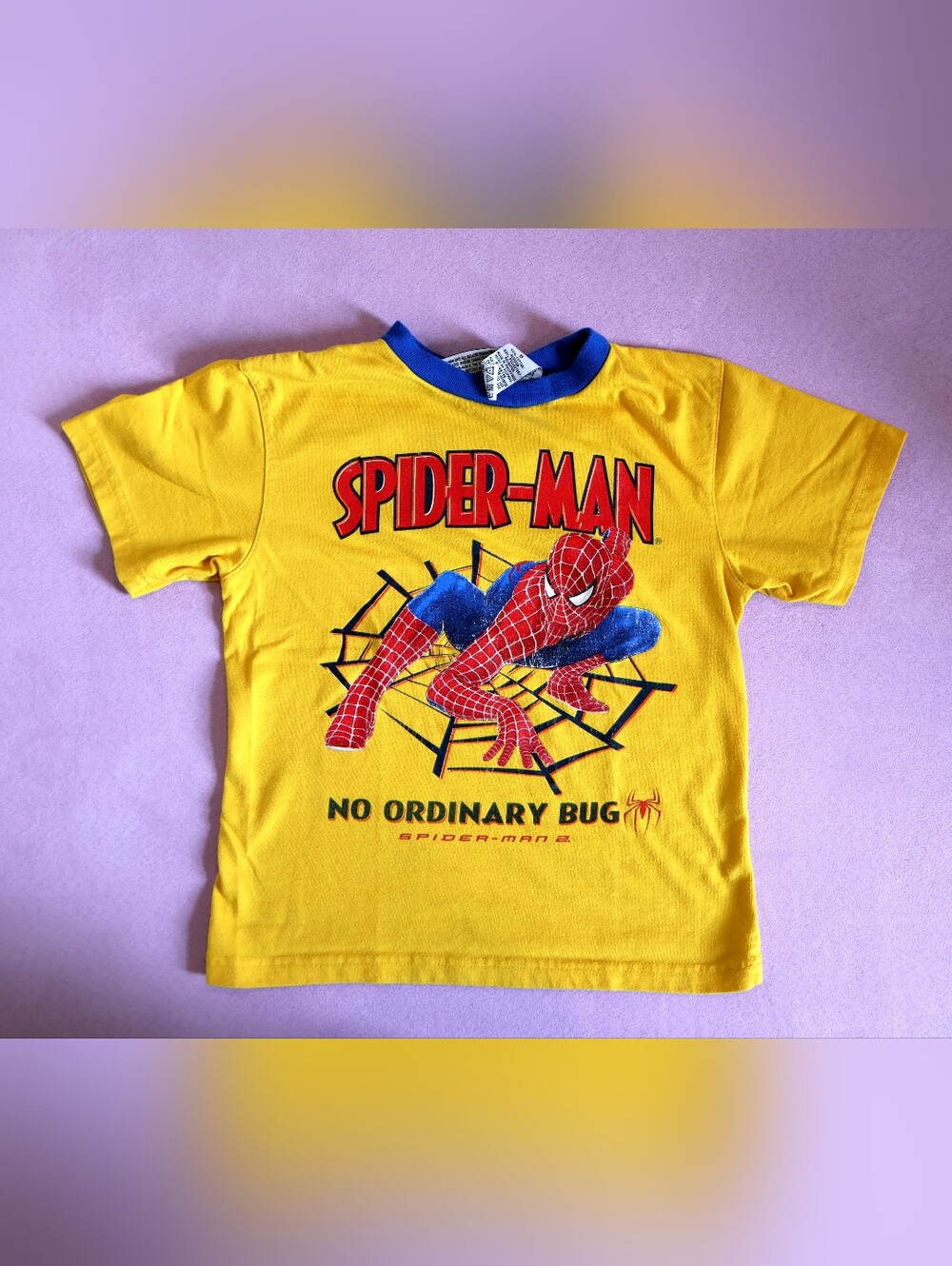 2005 Marvel Toby Maguire Spiderman 2 No Ordinary Bug Youth 6 Graphic Tee